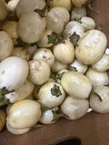 African Eggplant 2 Lbs