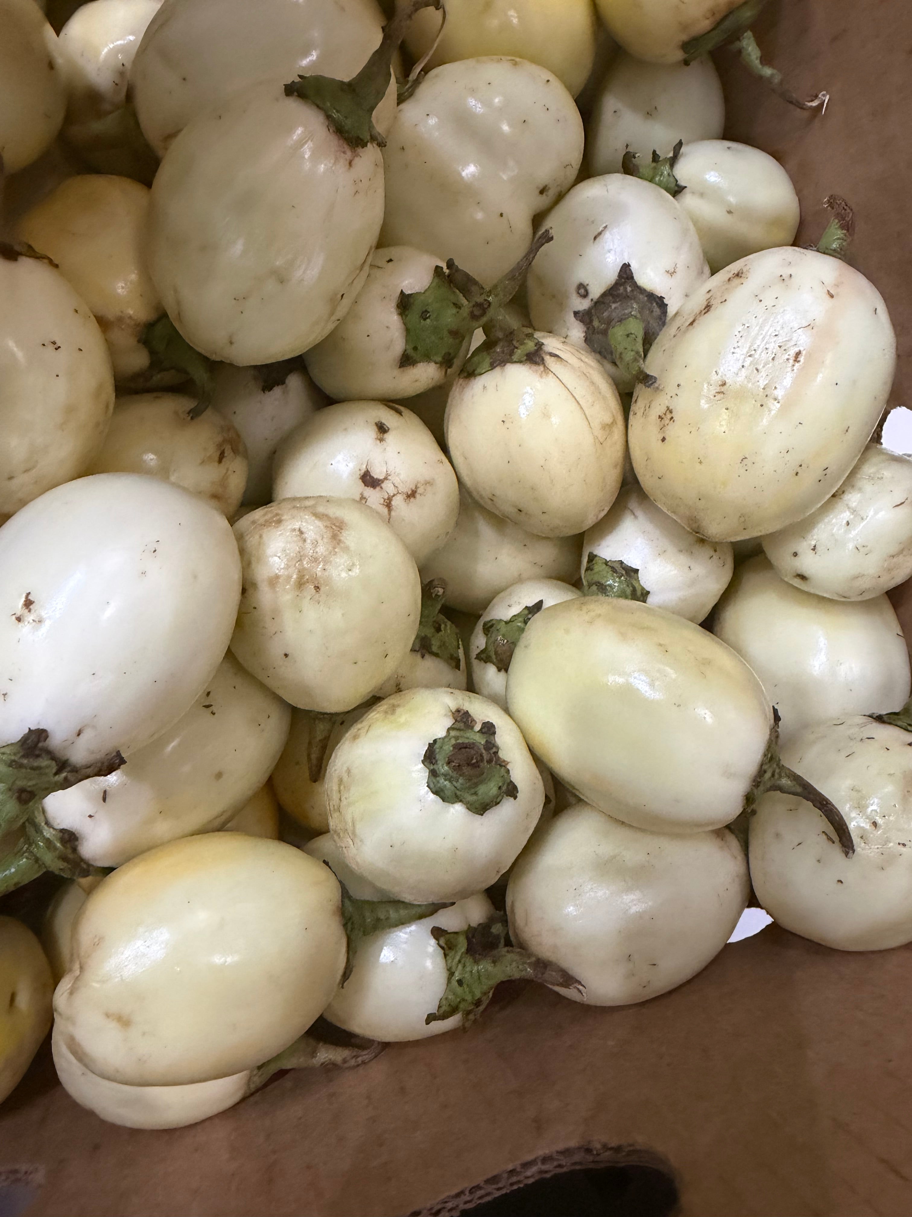 African Eggplant 2 Lbs