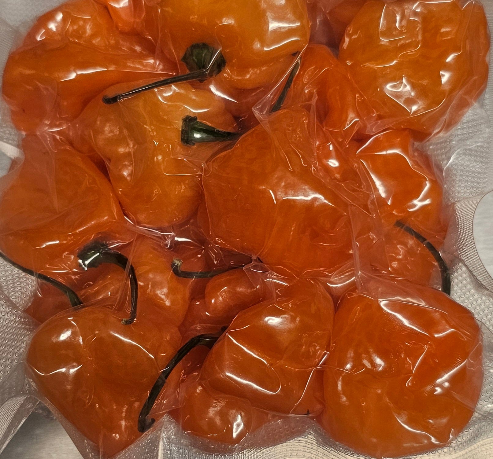 Habanero 0.25Lbs